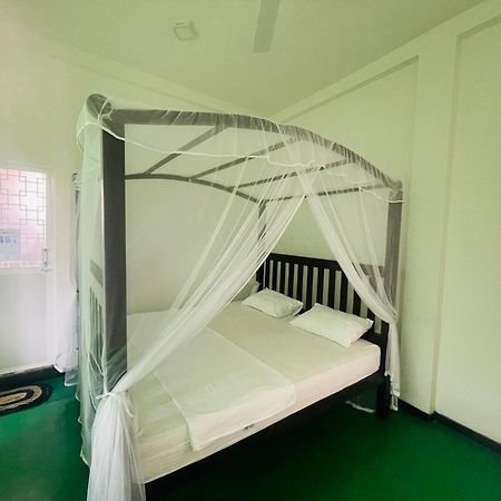 Why Not Backpackers Hostel Mirissa Εξωτερικό φωτογραφία