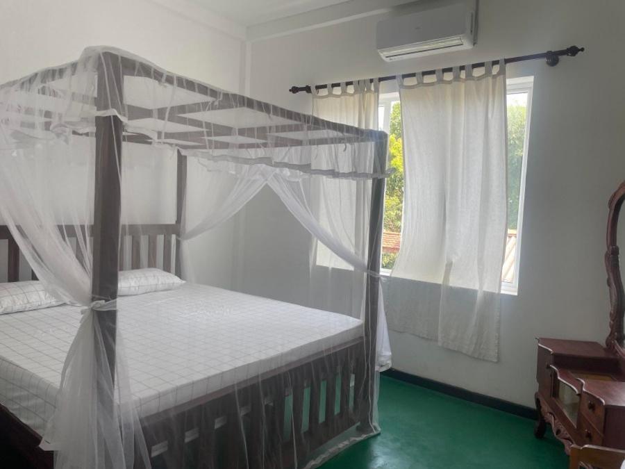 Why Not Backpackers Hostel Mirissa Εξωτερικό φωτογραφία