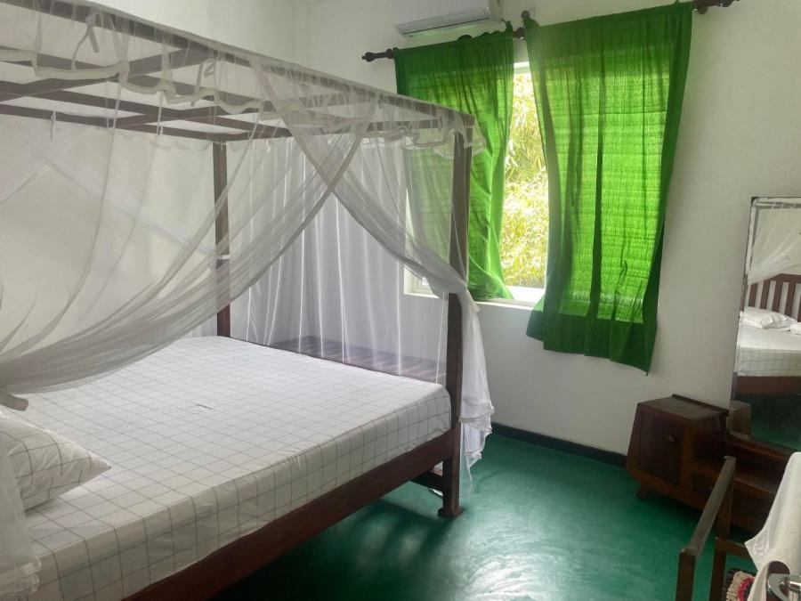 Why Not Backpackers Hostel Mirissa Εξωτερικό φωτογραφία