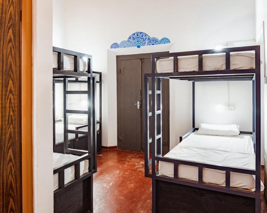Why Not Backpackers Hostel Mirissa Εξωτερικό φωτογραφία