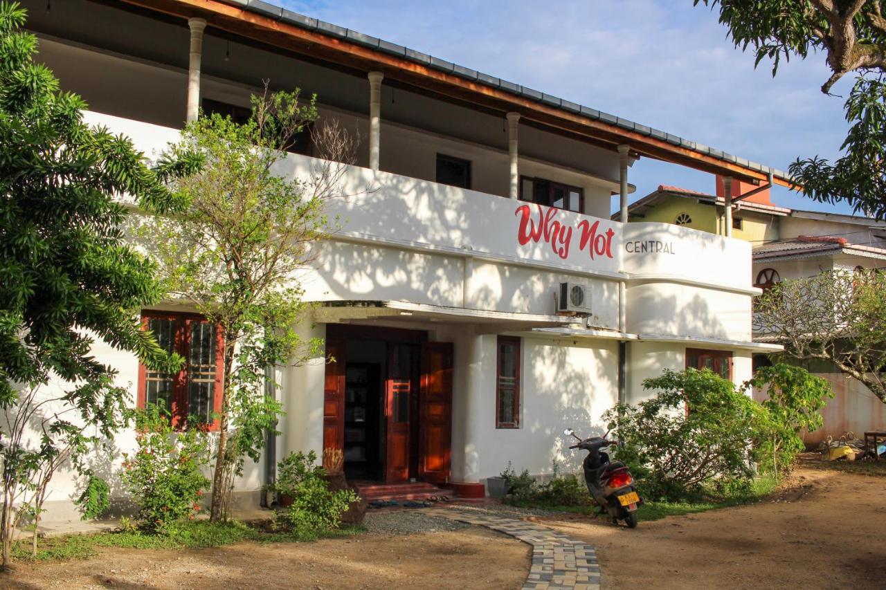 Why Not Backpackers Hostel Mirissa Εξωτερικό φωτογραφία