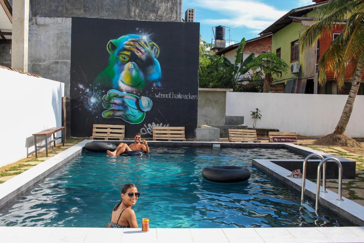 Why Not Backpackers Hostel Mirissa Εξωτερικό φωτογραφία
