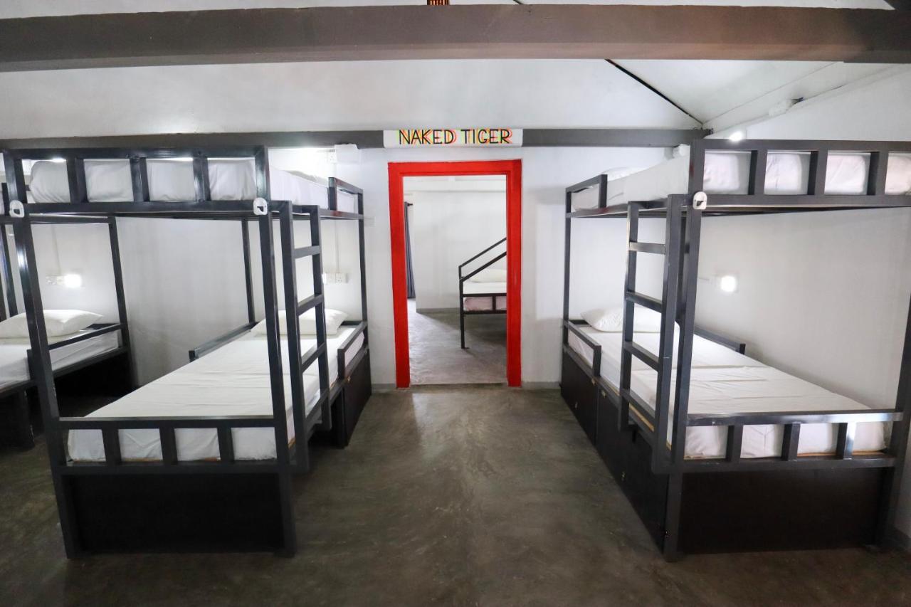 Why Not Backpackers Hostel Mirissa Εξωτερικό φωτογραφία